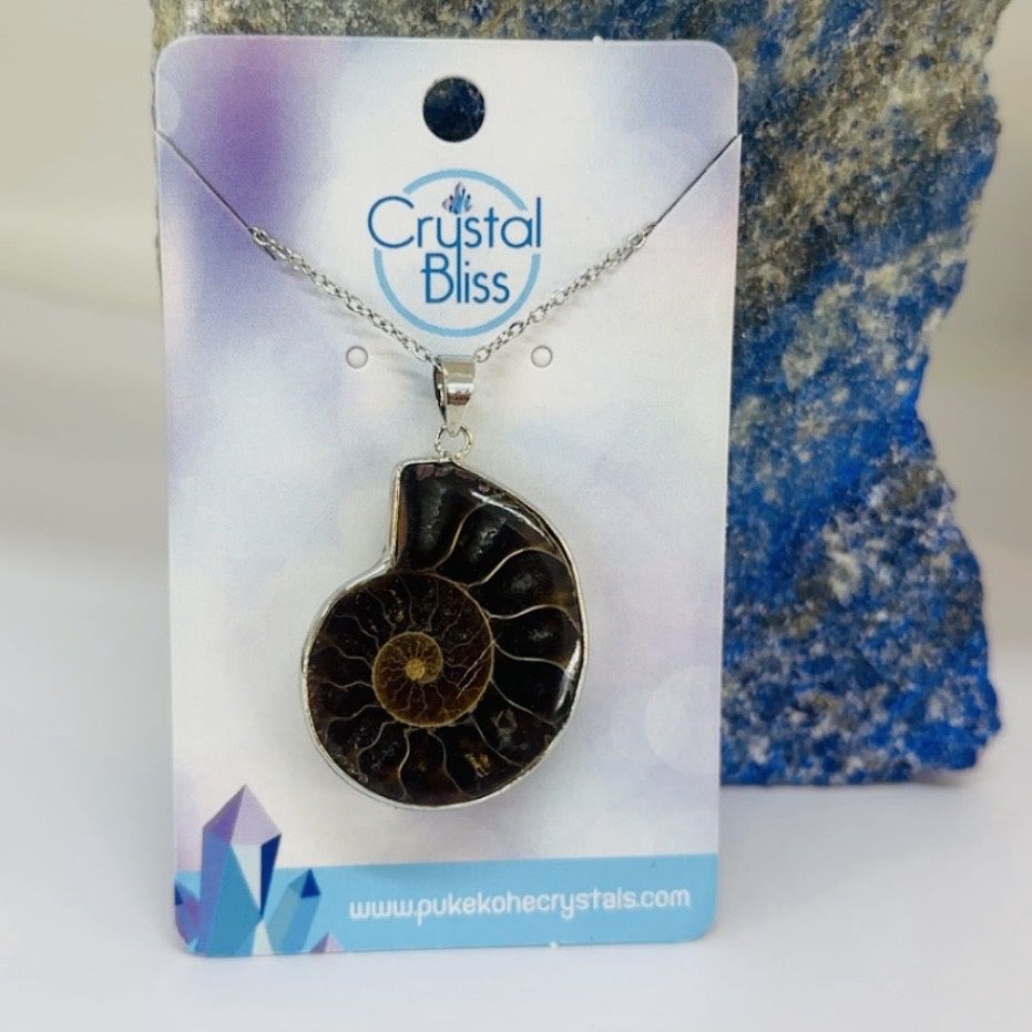 Orthoceras Fossil Pendant