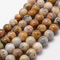 Beads 6mm Crazy Lace Agate