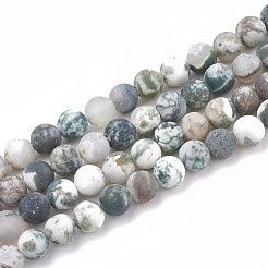 Beads 6mm Tree Agate