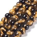 4mm Beads Tigers Eye