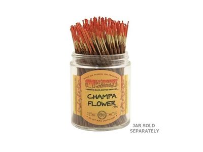 Shorties Champa Flower