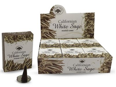 Californian White Sage Cones