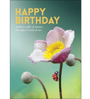 Happy Birthday -  Card
