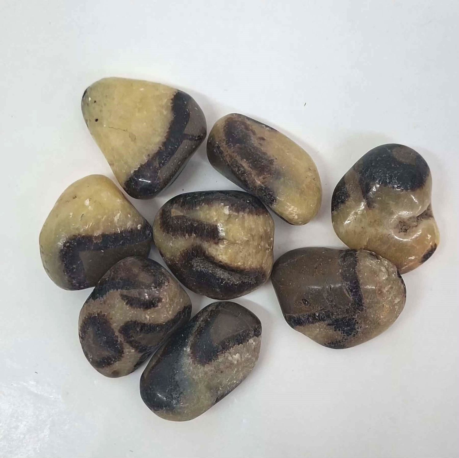 Septarian Tumbled