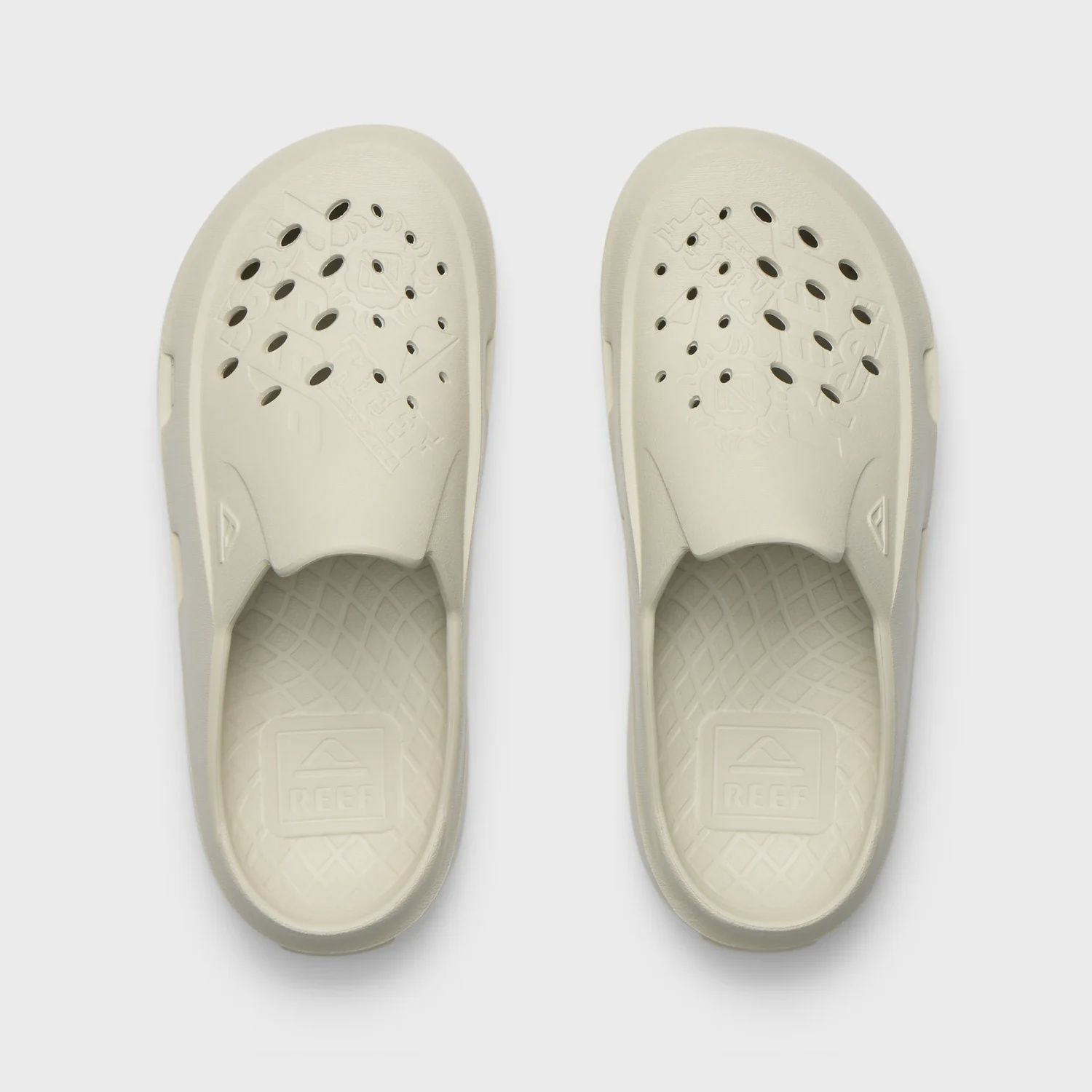 Reef Glider Slide