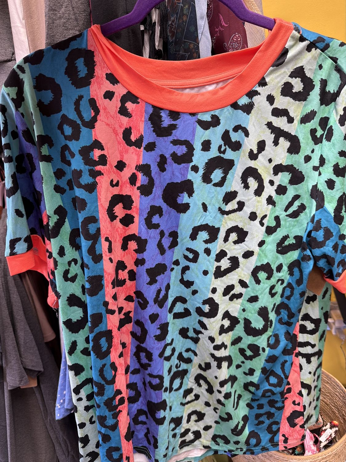 Leopard colorful stripe tshirt