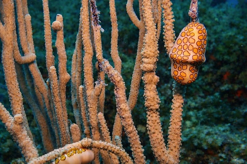 "Held in Place" by Missie Stevenson