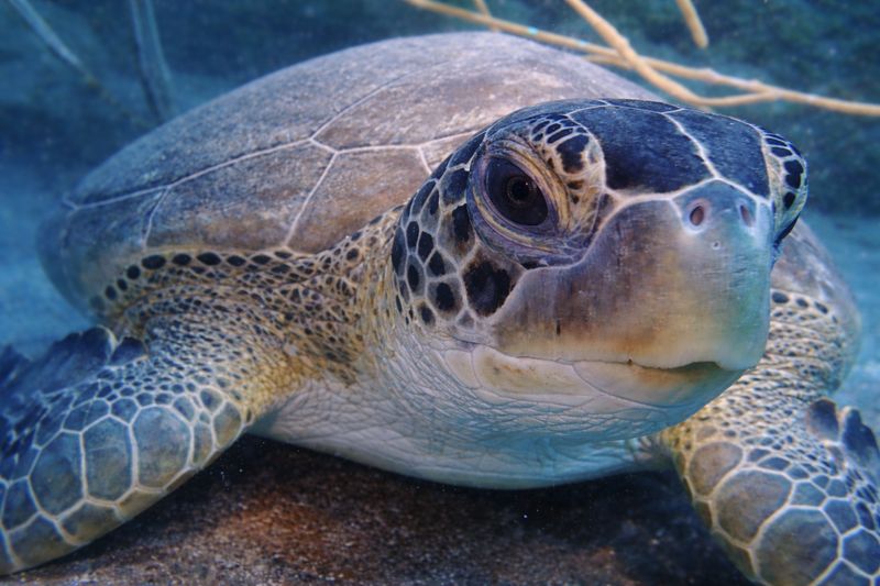 "Metting Ocean" by Missie Stevenson