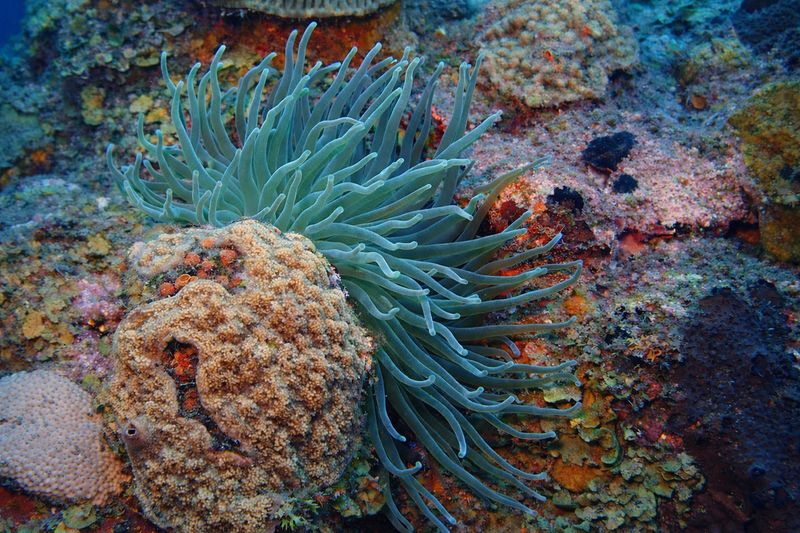 "Gentle Current" by Missie Stevenson