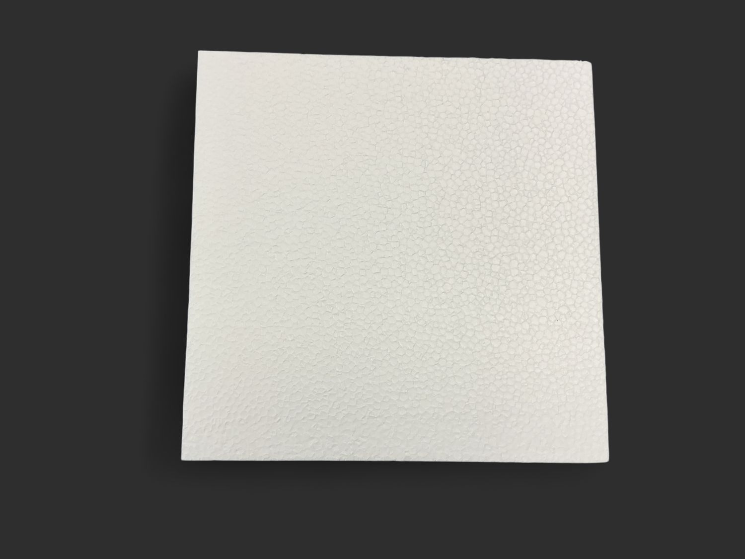 Styrofoam Blocks 8x8x4