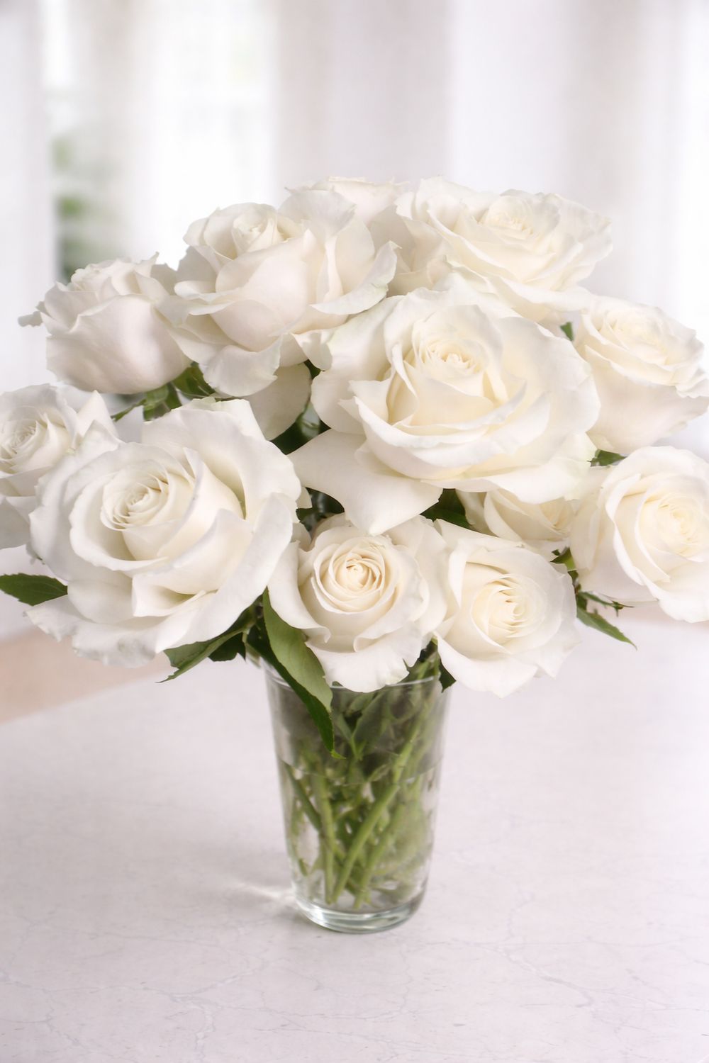 Bouquet de rosas em vaso COTTON CANDY