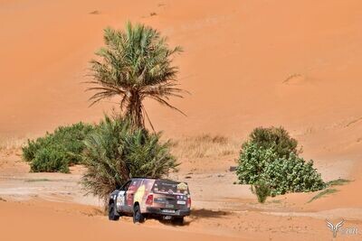 Stage de Pilotage "Rallyes Africains"