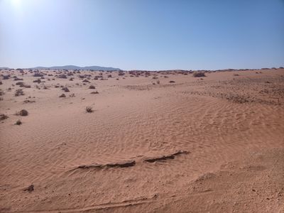 Formations sur terrains Spécifiques