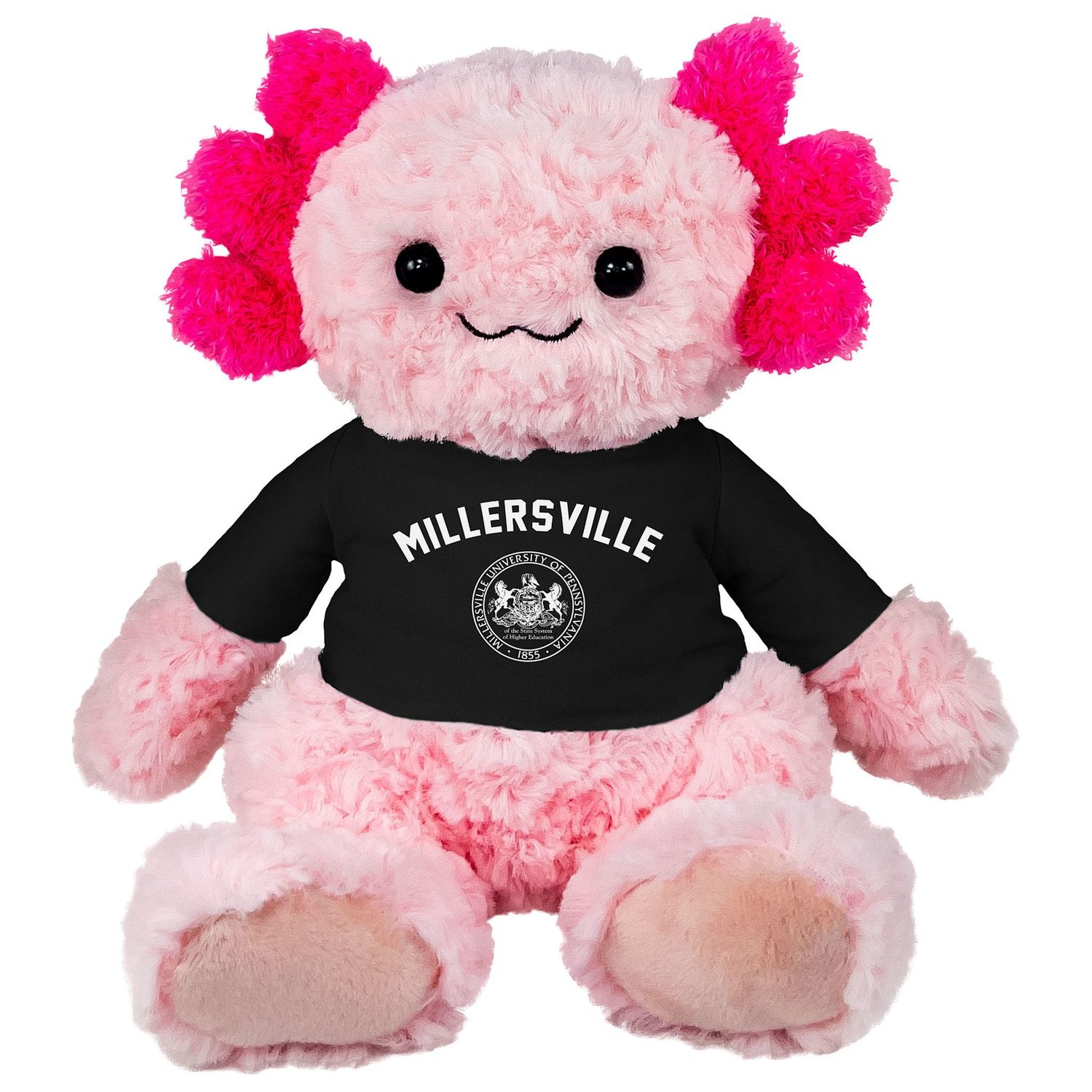 Cuddle Buddy with T-Shirt , Plush Type: Axolotl