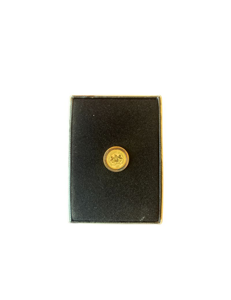 Gold Lapel Pin