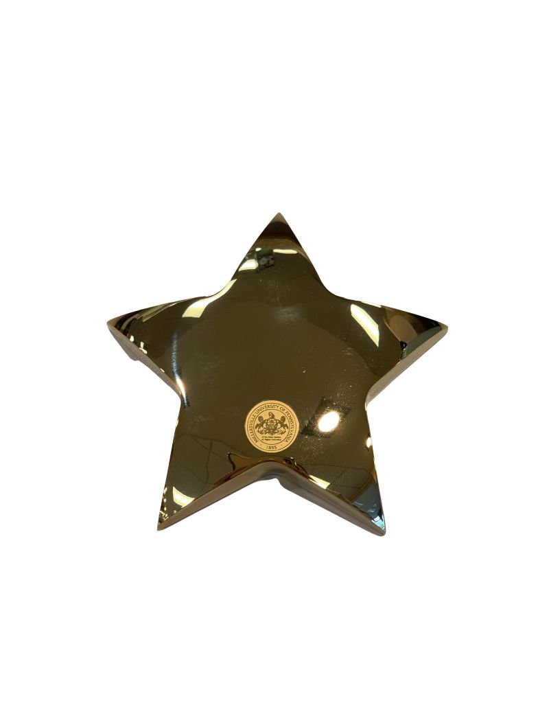GOLD STAR PAPERWEIGHT