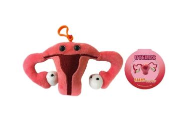 Uterus Key Chain