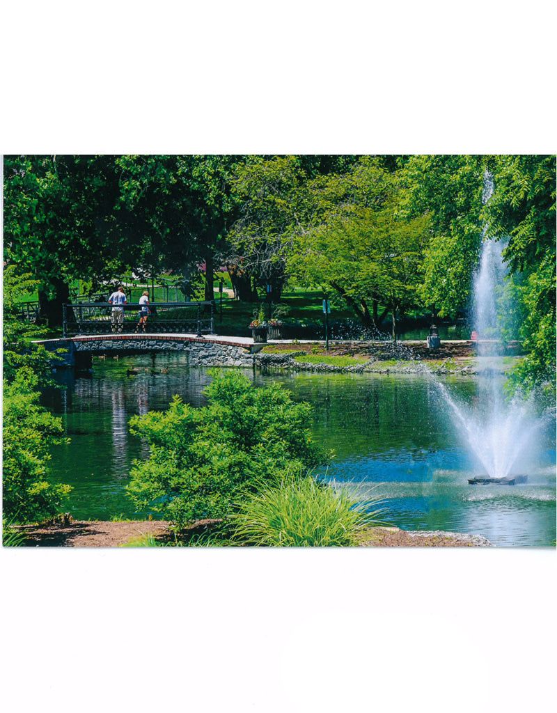 Pond Greeting Card