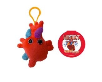 Heart Key Chain