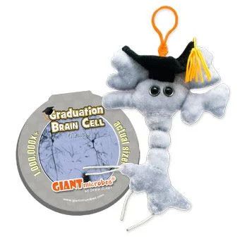 Brain Cell Grad Key Chain