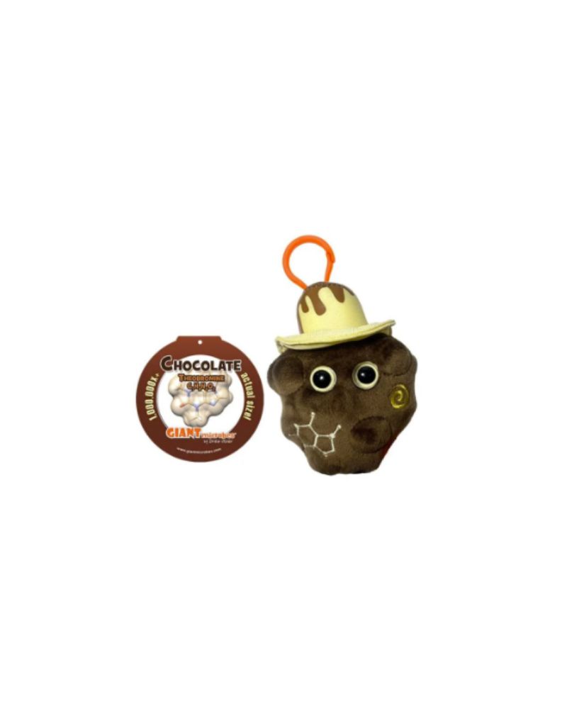 Chocolate Keychain