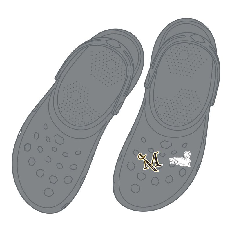 Shoe/Clog Charms 2 Pack