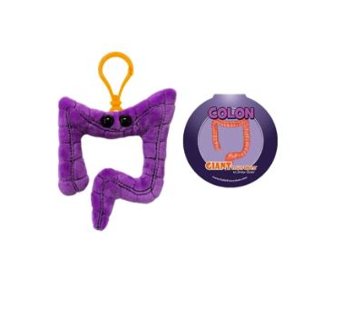 Colon Keychain