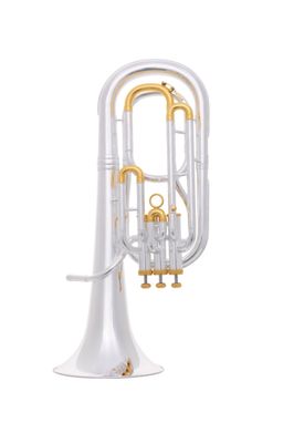 Baritones/Alto Horns