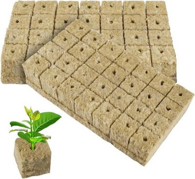 Cuttings and Seedlings