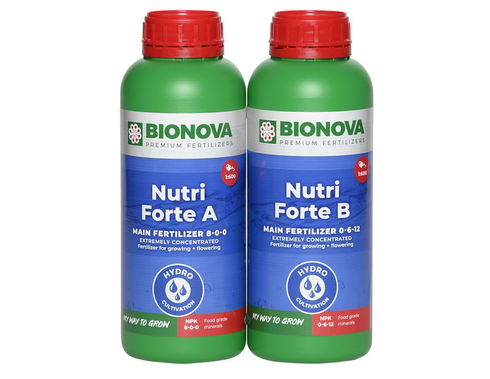 ​Nutri Forte A+B 5 liters