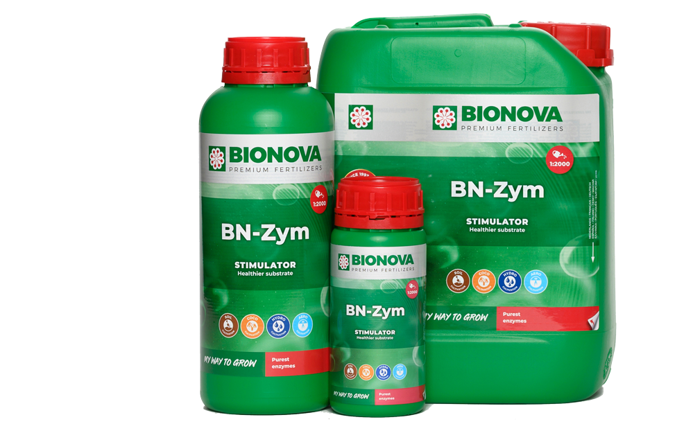 Bionova BN-Zym