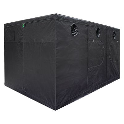 Dr. Green Tent GR360x240