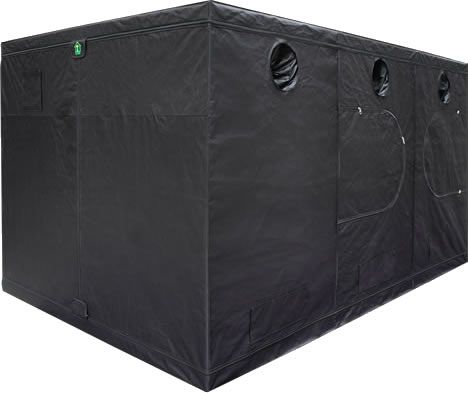 Dr. Green Tent GR480 x 240