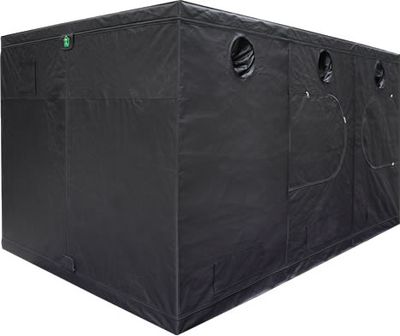 Dr. Green Tent GR480 x 240