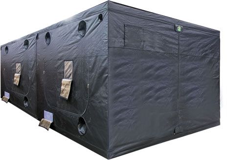 Dr. Green Tent GR600 x 300