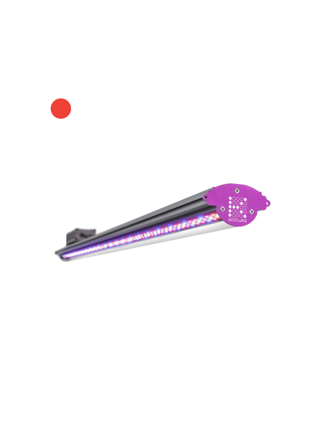 X80 Growth or Flower