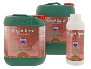 Royal Terra 1 Compo