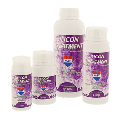 Silicon Treatment