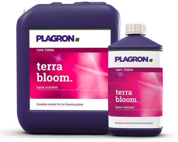​Terra Bloom