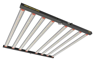 Lumen King Gold Series 1000W LED