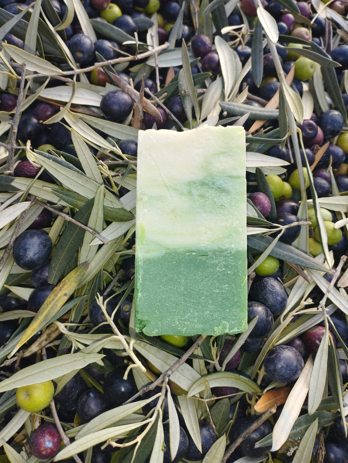 Jabón natural de aloe vera para cuidado facial y corporal