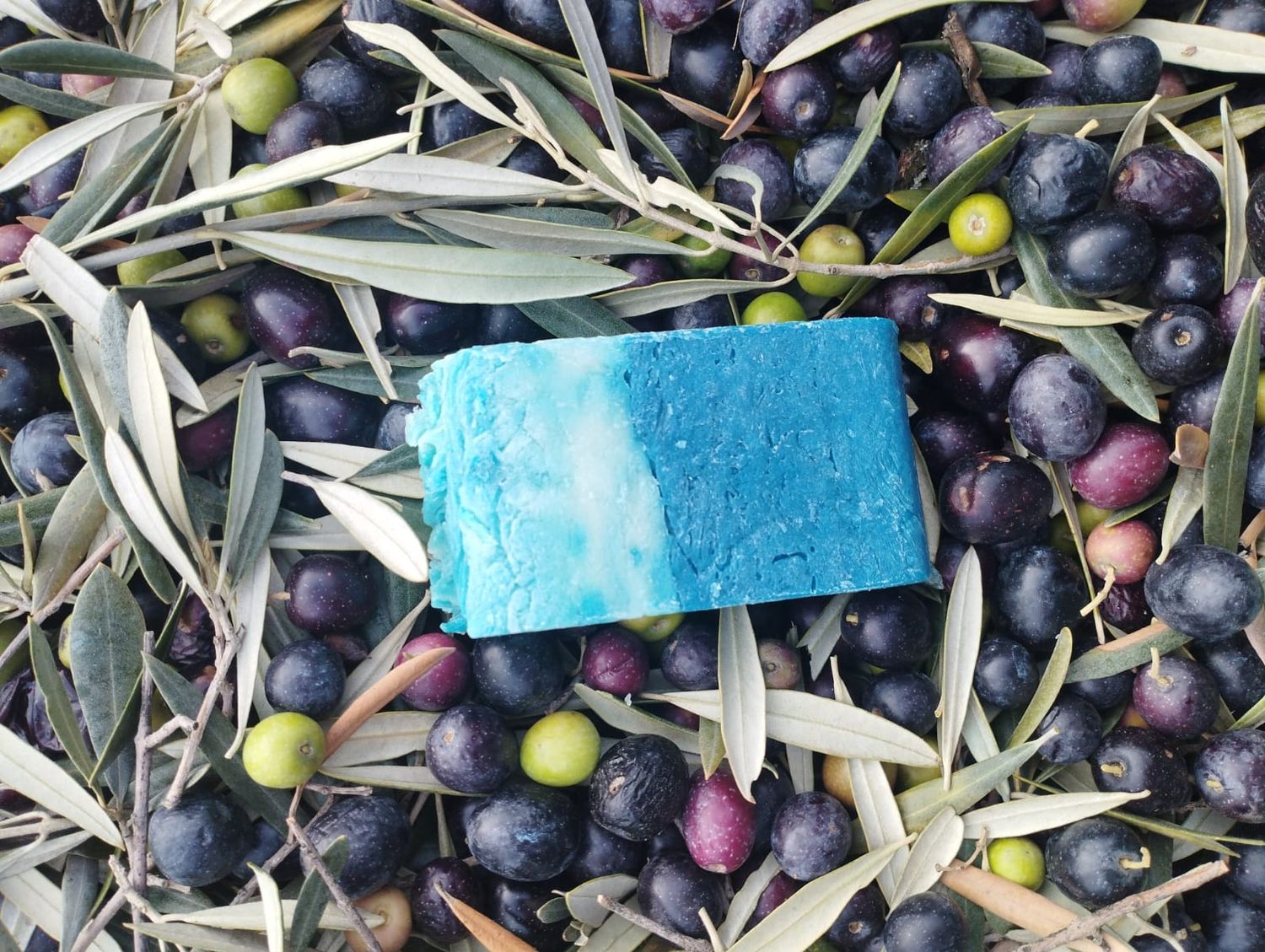 Jabón artesanal de algas marinas nutritivo y revitalizante