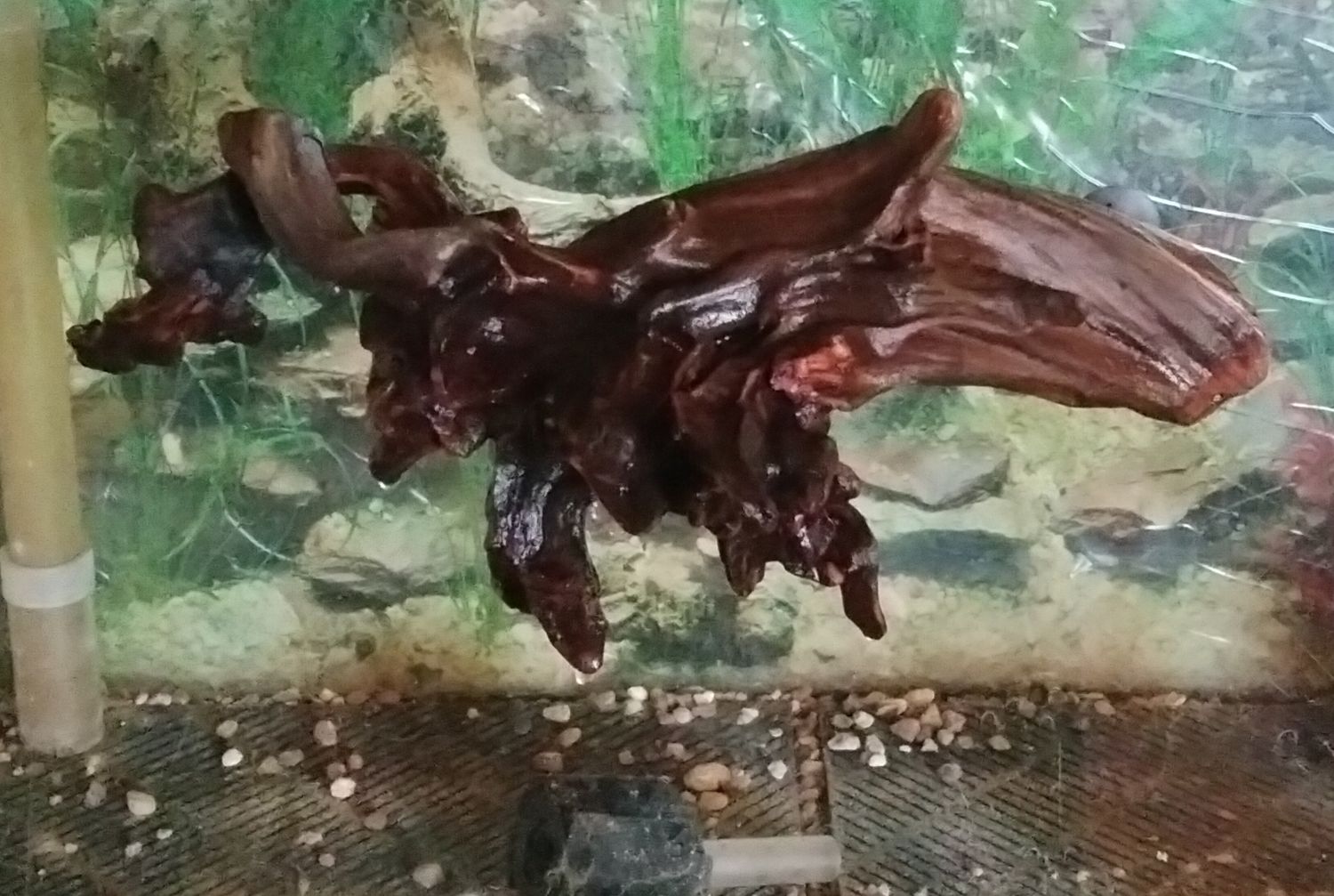 Small driftwood aquarium ledge ,4-7 inches