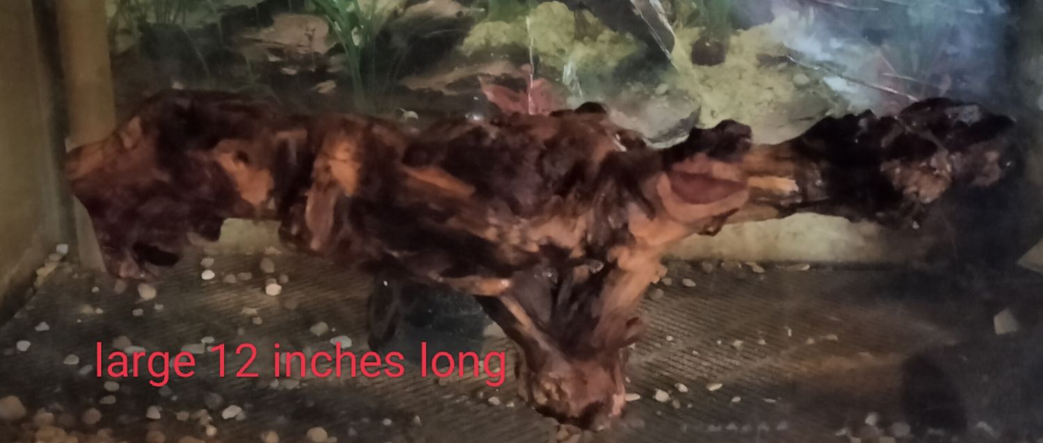 Small driftwood aquarium ledge ,4-7 inches