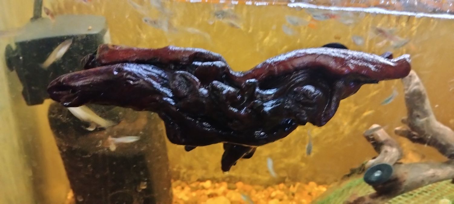 Small driftwood aquarium ledge ,4-7 inches