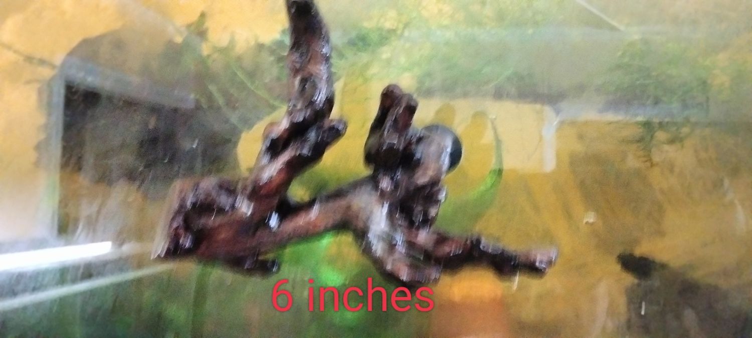 Small driftwood aquarium ledge ,4-7 inches