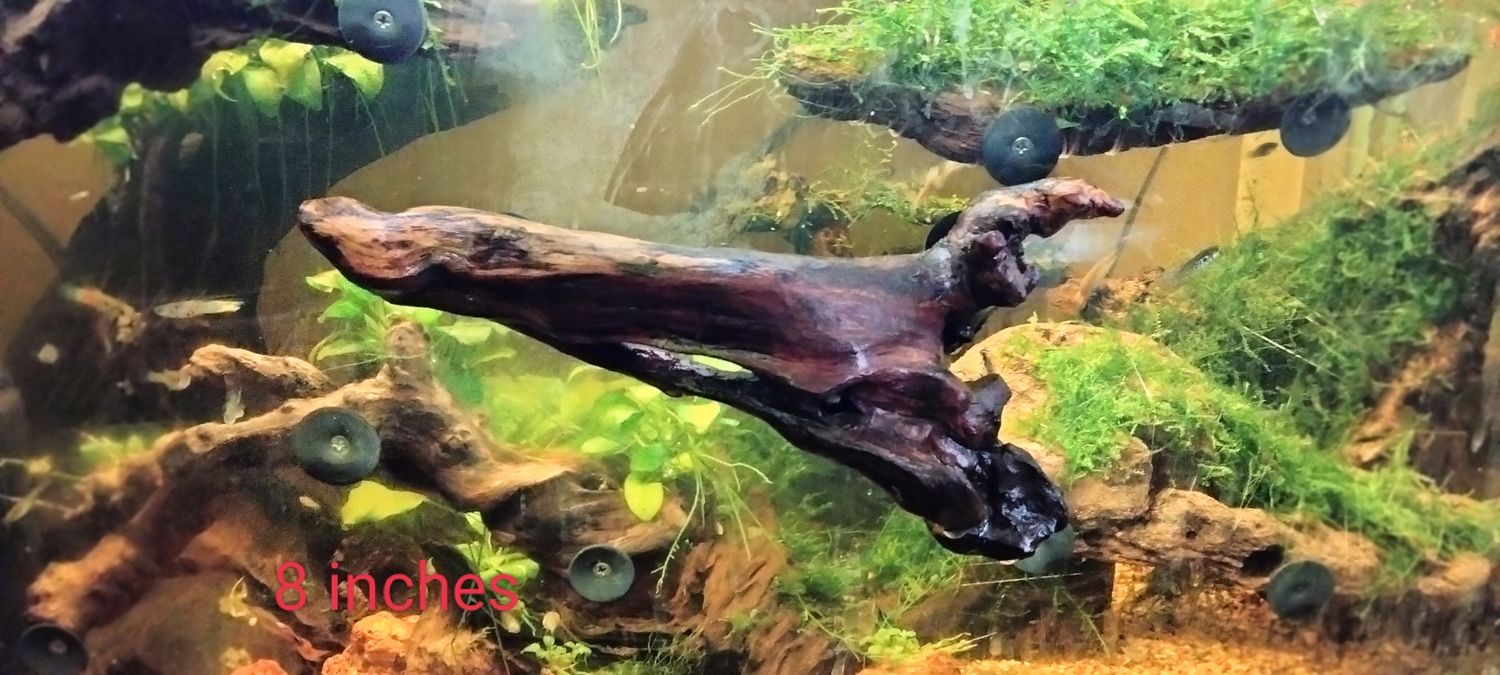 Small driftwood aquarium ledge ,4-7 inches