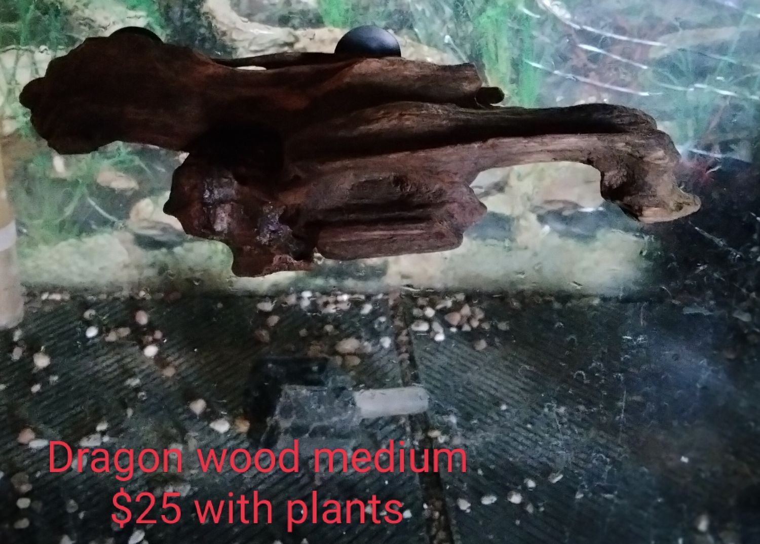 Medium aquarium ledge