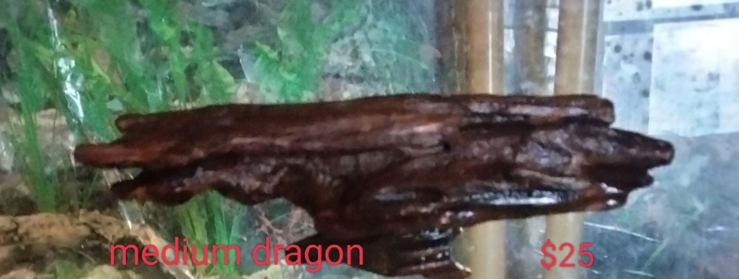 Medium aquarium ledge