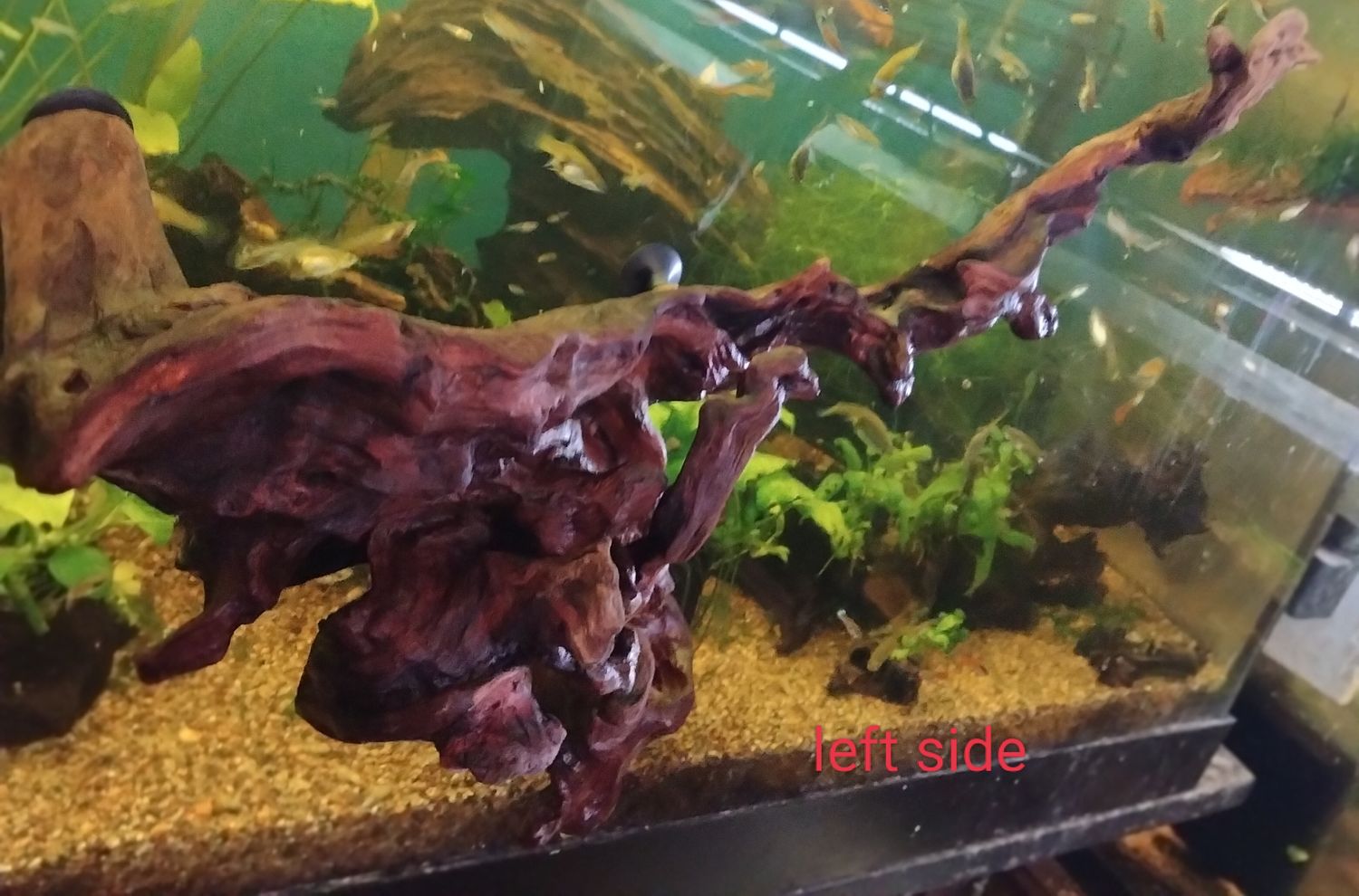 Large ledge 10-12 inches long